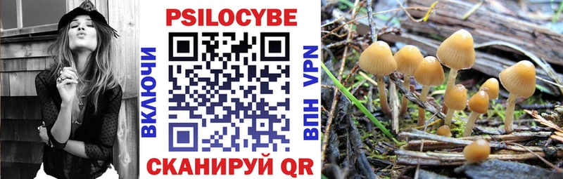 Псилоцибиновые грибы Cubensis  Сретенск 